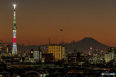 正月 日の丸カラーと富士山