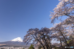 斜光