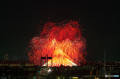 2016東京競馬場花火２