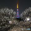 春の東京タワー
