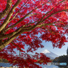 2023精進湖の紅葉
