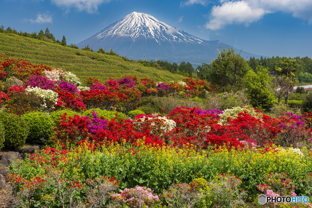春風景