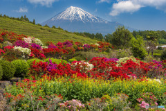 春風景