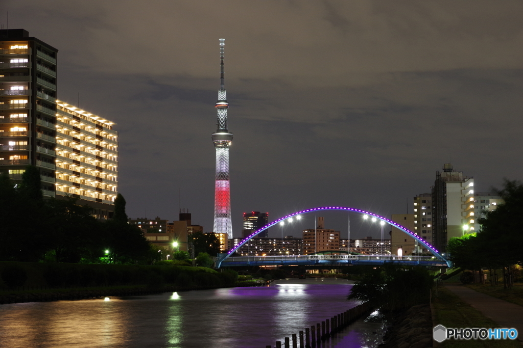 日本カラー