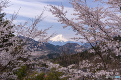 真木お伊勢山