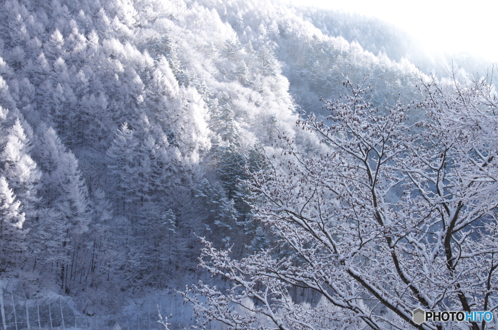 霧氷