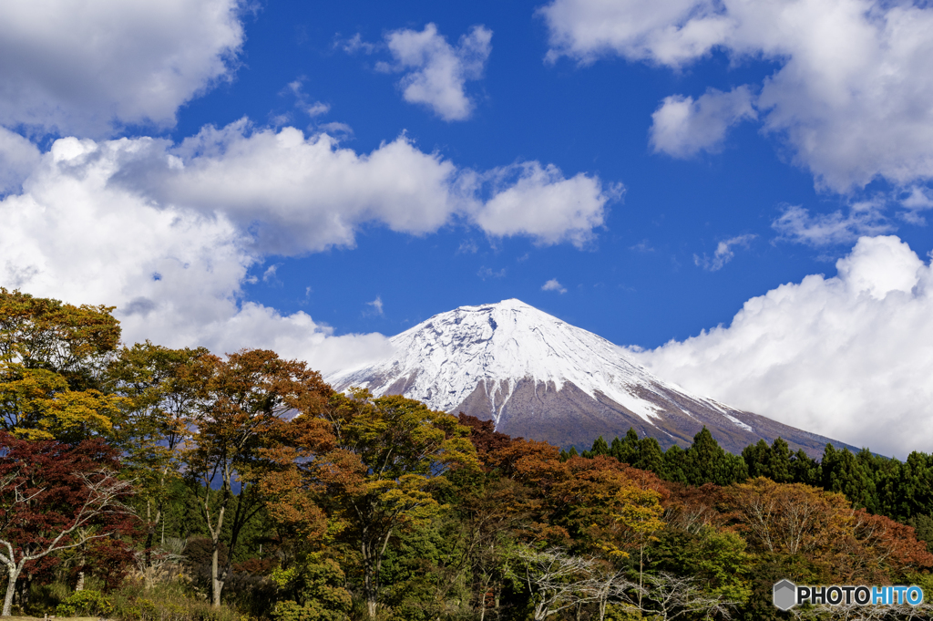 秋色と再冠雪富士