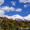 秋色と再冠雪富士