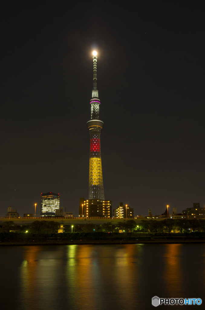 ベルギーカラー
