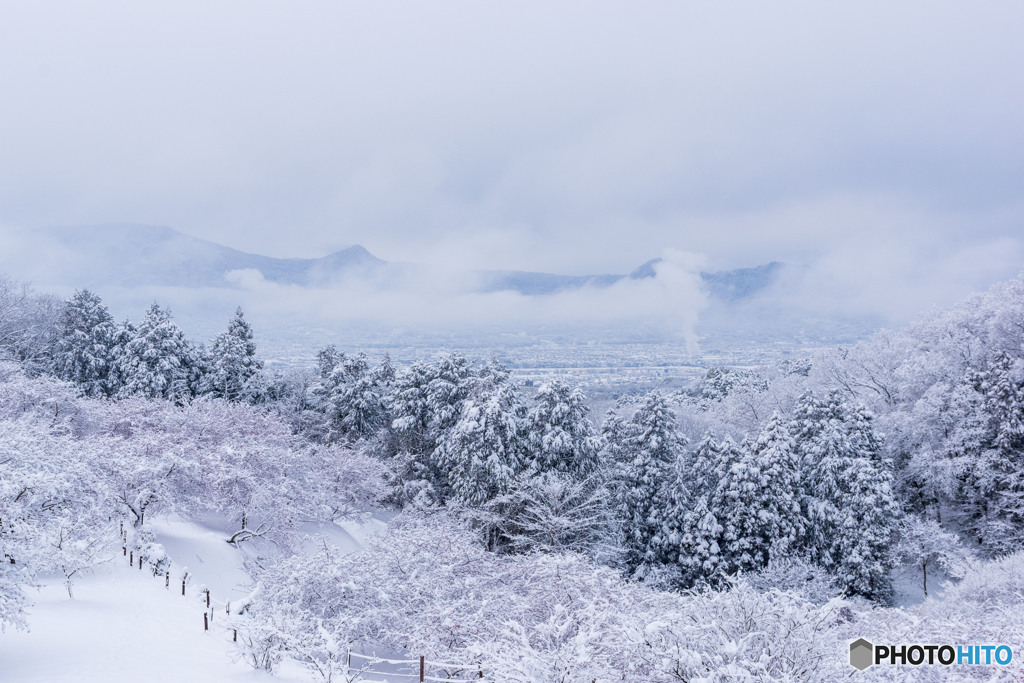 おおいゆめの里 雪景色