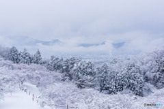 おおいゆめの里 雪景色