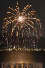 心に染みる夜空の花