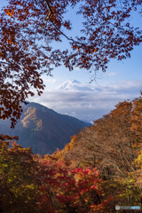 色彩の山々