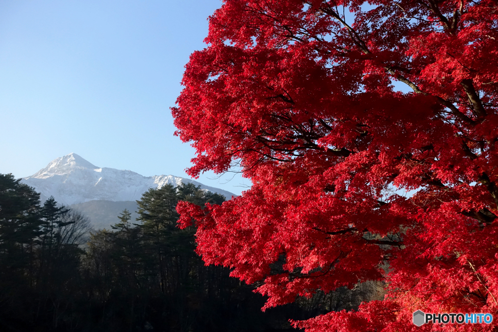 磐梯山と紅葉
