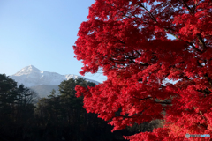 磐梯山と紅葉