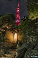 東京タワー還暦の赤色