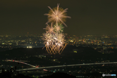 第11回いせはら芸術花火