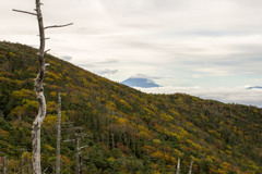 国師ヶ岳の紅葉