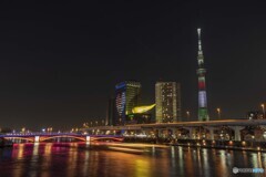 聖火リレー　栃木県