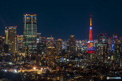 東京の夜景