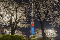 sakura&skytree