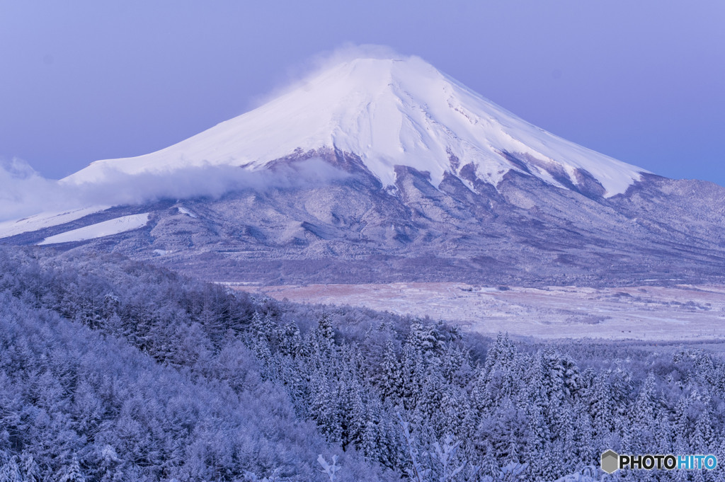 降雪の朝
