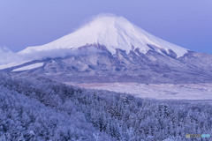 降雪の朝