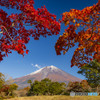 2023富士桜自然墓地公園の紅葉