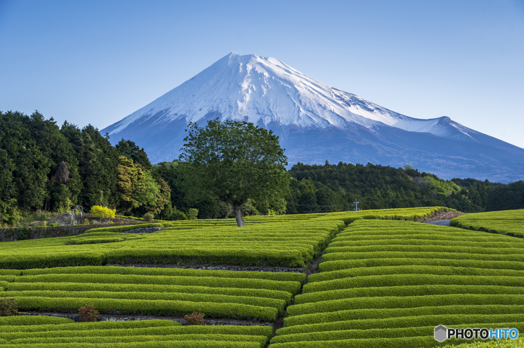 春風景