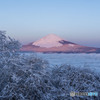 紅富士と霧氷