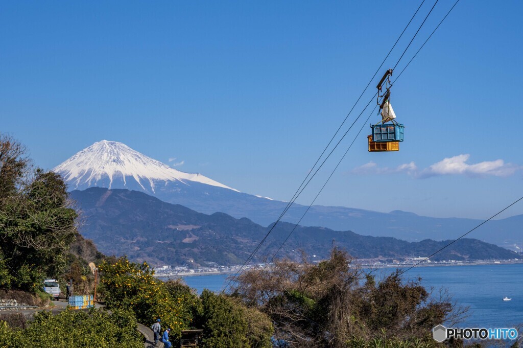 空飛ぶミカン