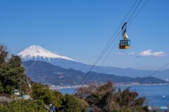 空飛ぶミカン