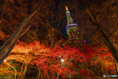 タワーと紅葉