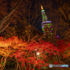 タワーと紅葉