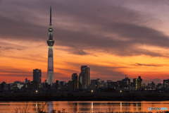 荒川土手の夕景２