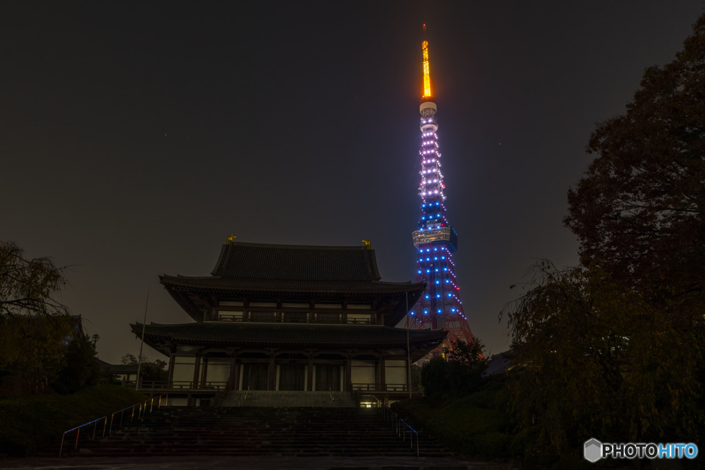 NY&Tokyo観光パートナーシップ記念ダイヤモンドヴェール