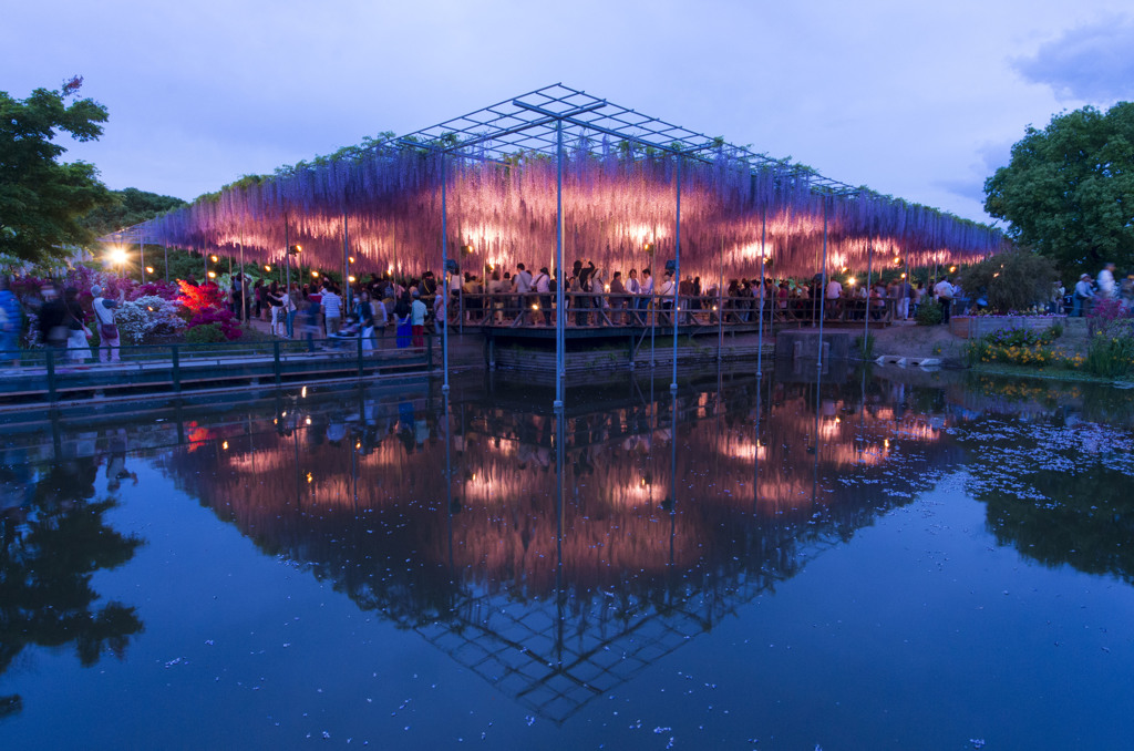 Ashikaga Flower Park