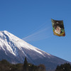 凧、凧上がれ