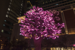 Tree of Light 灯桜