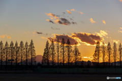 夕焼け