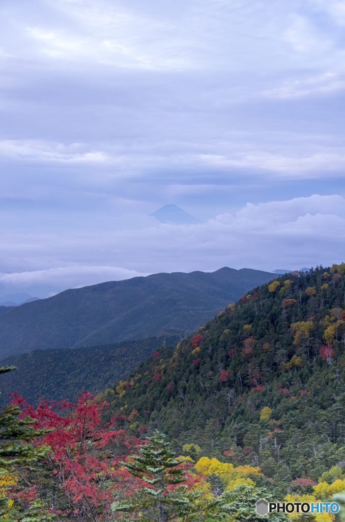 国師ヶ岳の紅葉