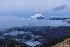 雲に浮かぶ富士