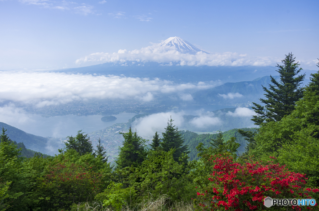 初夏の新道峠