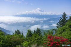 初夏の新道峠