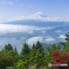 初夏の新道峠