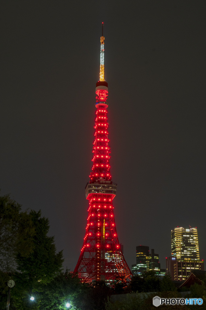 展望の日 前日ライトアップ