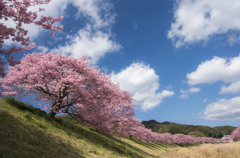 春の陽気