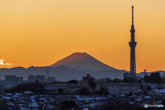 富士山とスカイツリー