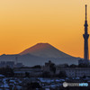 富士山とスカイツリー