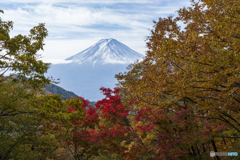 御坂峠の紅葉